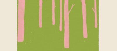 61okdSr2mNL._AC_UF1000,1000_QL80_